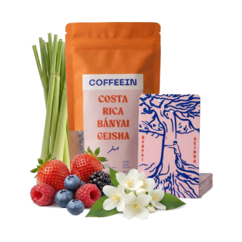 Costa Rica BÁNYAI GEISHA - 100g - Coffeein