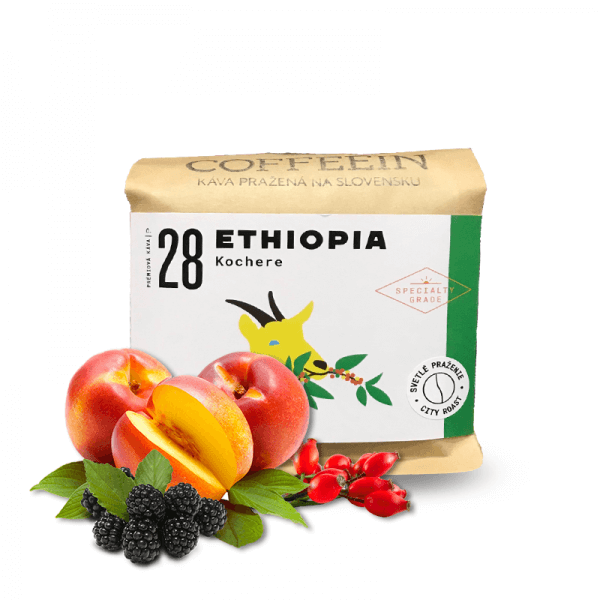 Specialty coffee Coffeein Ethiopia Kochere