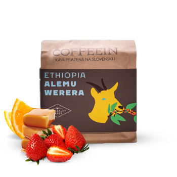 Ethiopia ALEMU WERERA - Coffeein