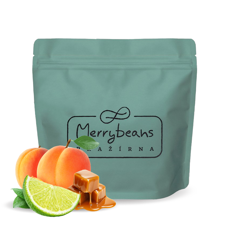 Specialty coffee Merrybeans Ethiopia ARICHA