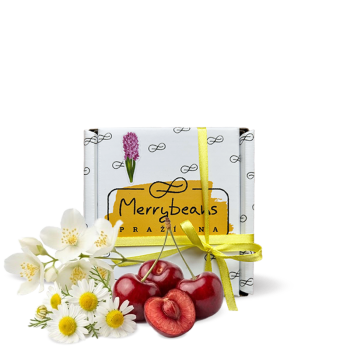 Colombia KYTIČKA - FINCA NOGALES - Spring in a Cup - 150g - Merrybeans